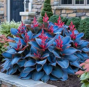 Хоста Грин Фог купить по цене от 669р. в интернет-магазине «Посадика» с доставкой почтой в в Вихоревкае и по всей России – [изображение №1].