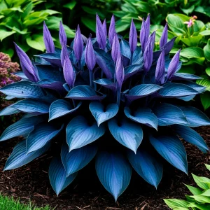 Хоста Сикрет Гров купить по цене от 570р. в интернет-магазине «Посадика» с доставкой почтой в в Вихоревкае и по всей России – [изображение №1].